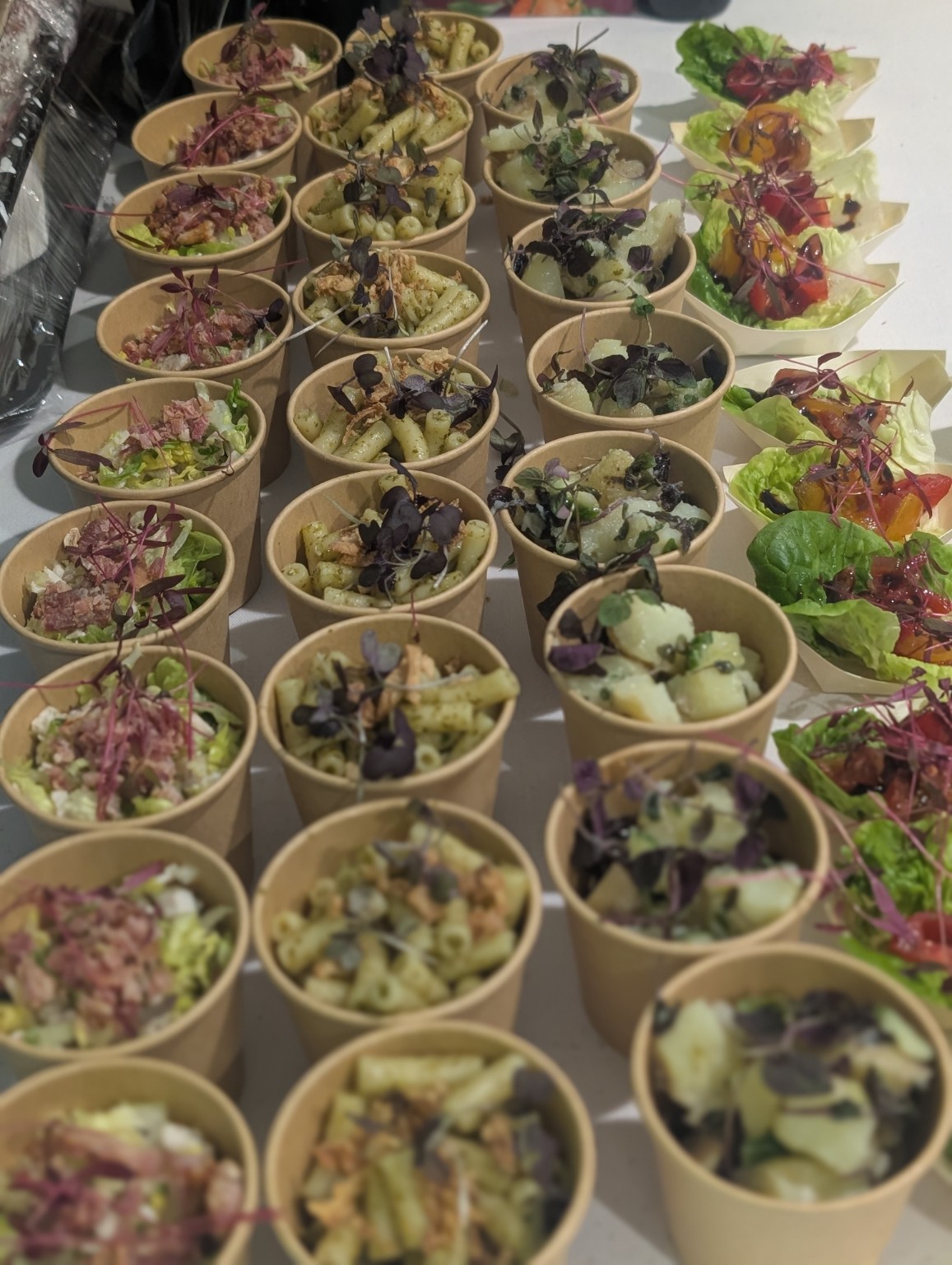 Rows of individual pasta and salad pots prepared for an event